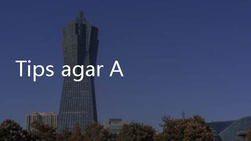 Tips agar Anabul Tidak Stres Dengar Suara Kembang Api Tahun Baru